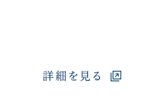 バナー　国際紛争解決